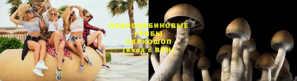 сатива Касимов