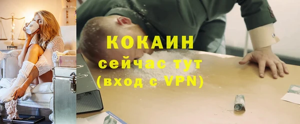 соль ск Каменногорск