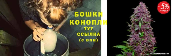 сатива Касимов