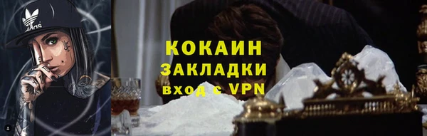 соль ск Каменногорск