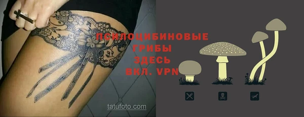 дживик Карталы
