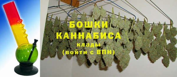 сатива Касимов