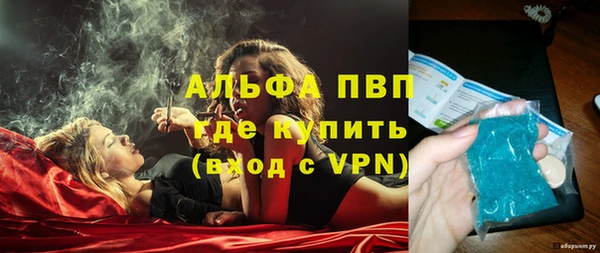 сатива Касимов