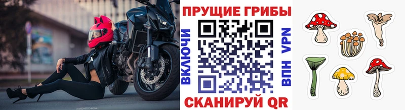Галлюциногенные грибы прущие грибы  Лениногорск 