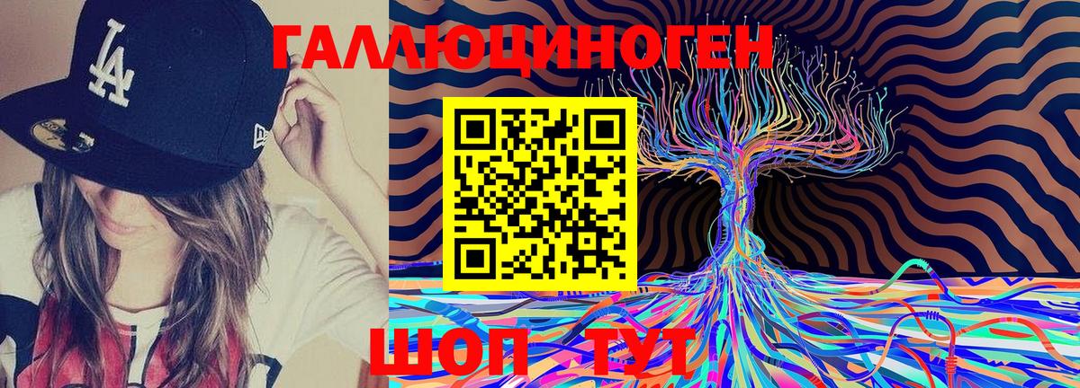 Галлюциногенные грибы Psilocybine cubensis Лениногорск