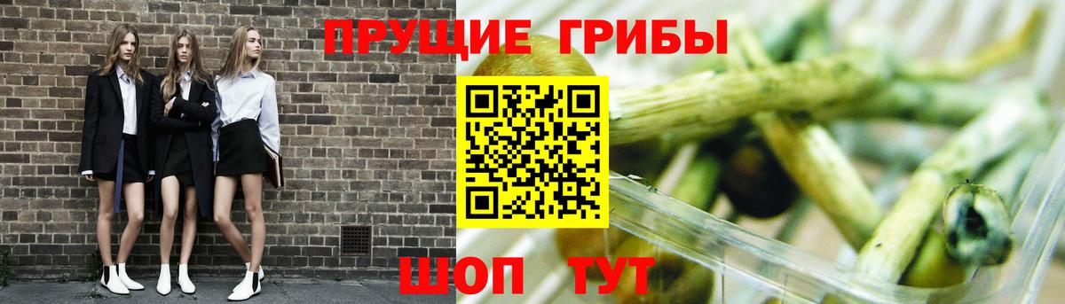 Лениногорск  Псилоцибиновые грибы MAGIC MUSHROOMS  Вход с VPN 