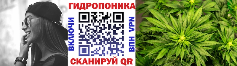 Бошки Шишки планчик  Лениногорск 